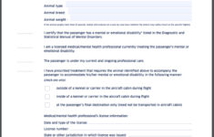 Airline Requirements For Traveling With An Emotional