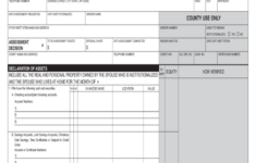 Asset Declaration Form 3 Free Templates In PDF Word