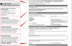 Brazil Health Declaration Form Pdf Farahistalking