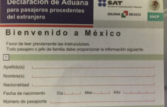 Customs Declaration Form Mexico Mexperience