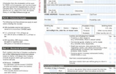 E311 CUSTOMS DECLARATION CARD PDF