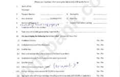 Indian Customs Declaration Form Printable Pdf Download