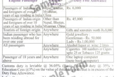 Indian Customs Understanding Custom Duty Duty Free