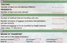 Mexican Customs Declaration Card MapChick s Maps
