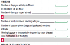Mexican Customs Declaration Form SJD Los Cabos Airport