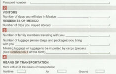 Mexico Eliminating Customs Forms Random Screenings For