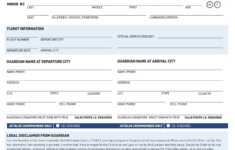 Minor Unaccompanied Fill Out And Sign Printable PDF