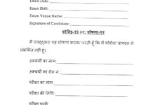 PDF COVID 19 Self Declaration Form PDF Download InstaPDF