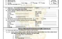 PDF Delhi OBC Certificate Application Form PDF