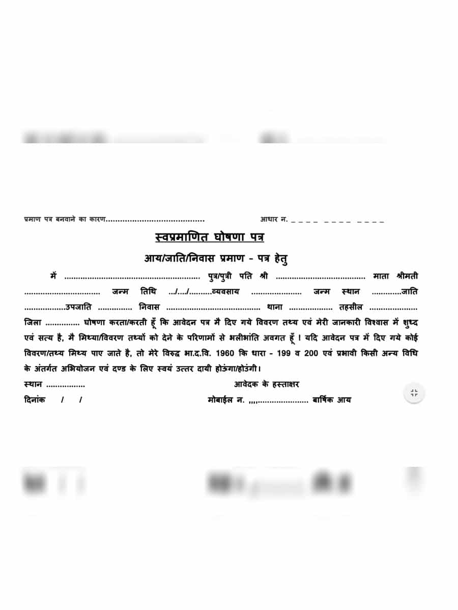  PDF Self Declaration Form PDF Download In Marathi InstaPDF