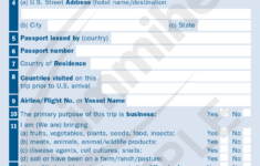 Sample U S Customs Declaration Form 6059B