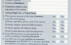 Sample US Customs Form Form 6059B