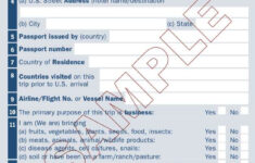 Sample USA Customs Form Front Uncontained Life