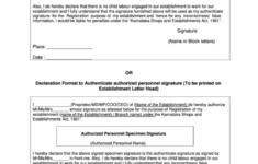 Signature Declaration Format Or Declaration Format To