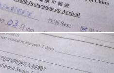 Swine Flu Declaration Hong Kong Health Declaration On