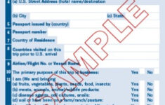 US Customs Declaration Form Trip Sense